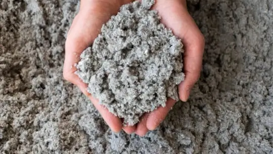 Cellulose insulation