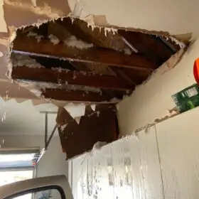 clean up the wet insulation